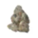 1x1-flower_500x