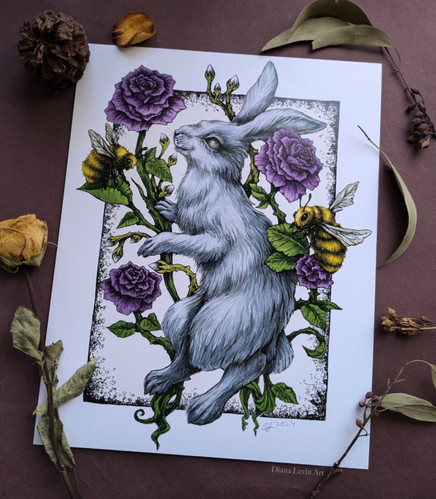 Thriving - Rabbit 11