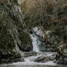 3P1A7984.jpg