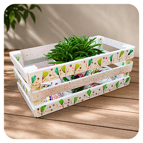 Design ohne Titel (23).png