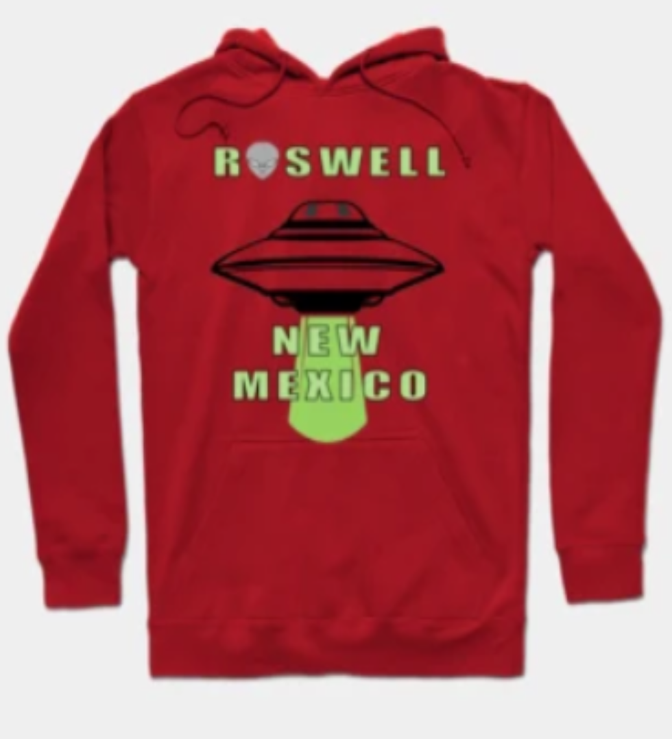 Tee public adult hoodie