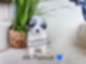 CC78CEBA-22F9-408D-8762-7FA0F3C57614.jpeg