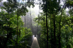 region-de-monteverde-al-noroeste-de-costa-rica
