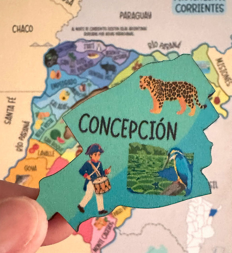 Miniatura: Mapa Encastrable Provincia de Corrientes
