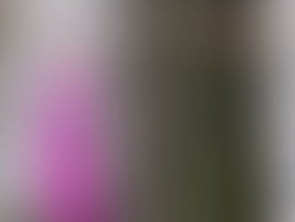 חורחה דל טורו ואני