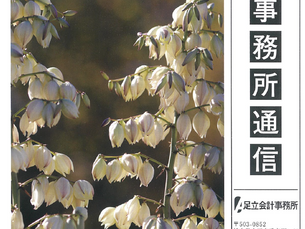 事務所通信11月号を発行しました