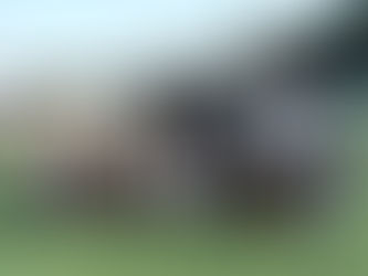 ９／１２ 交通機械工学科恒例のゼミ対抗スポーツ大会