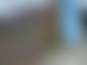 中部ベースキャンプ草木を剪定してもらいました。