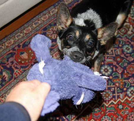 Playing TUG, With Rules