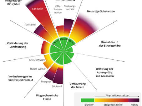 Von Geschichten zu Veränderung: Wie Reflexitainment das Persönliche, Gesellschaftliche und Planetare verbindet