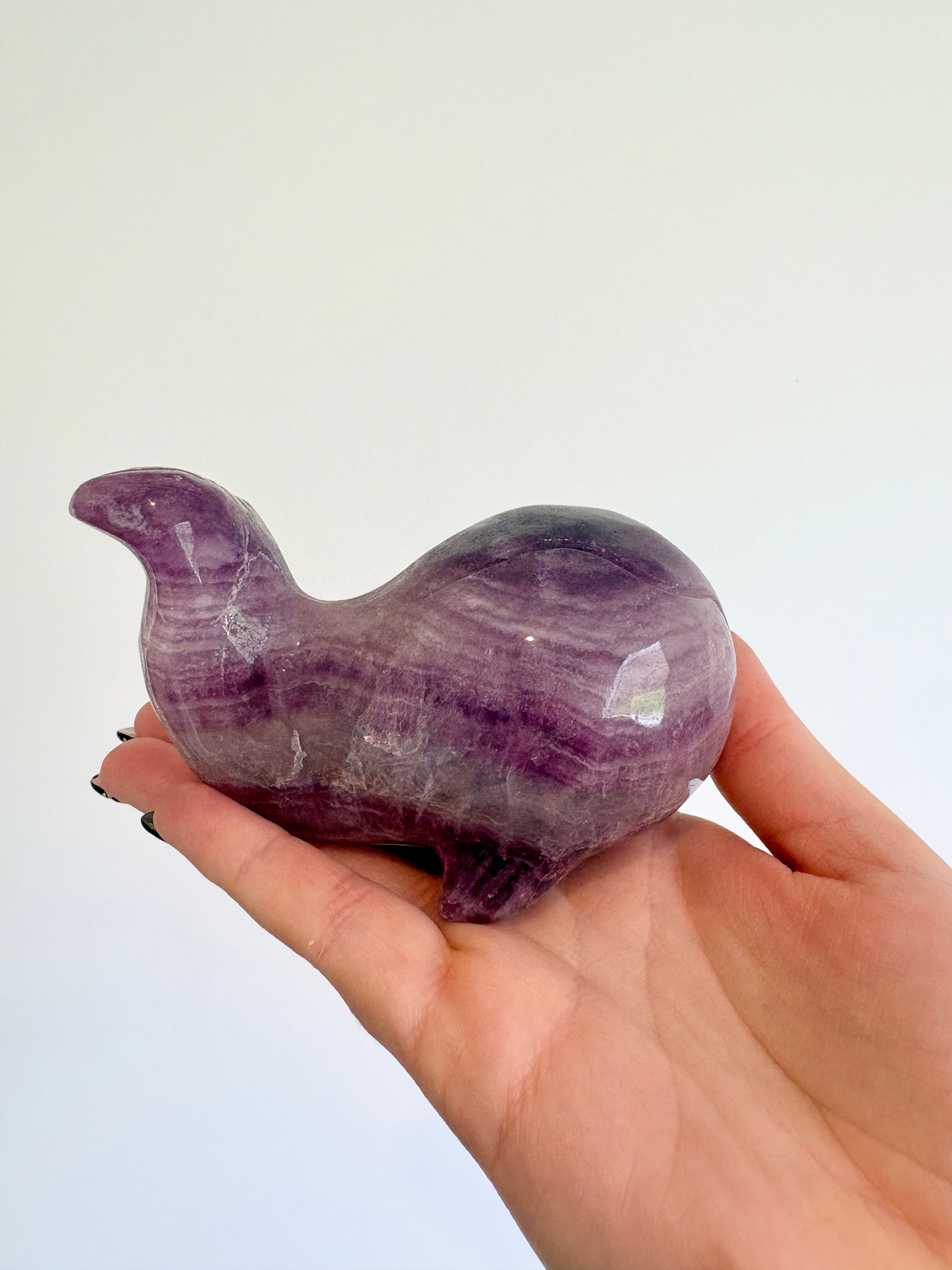 Fluorite Whale | 620g
