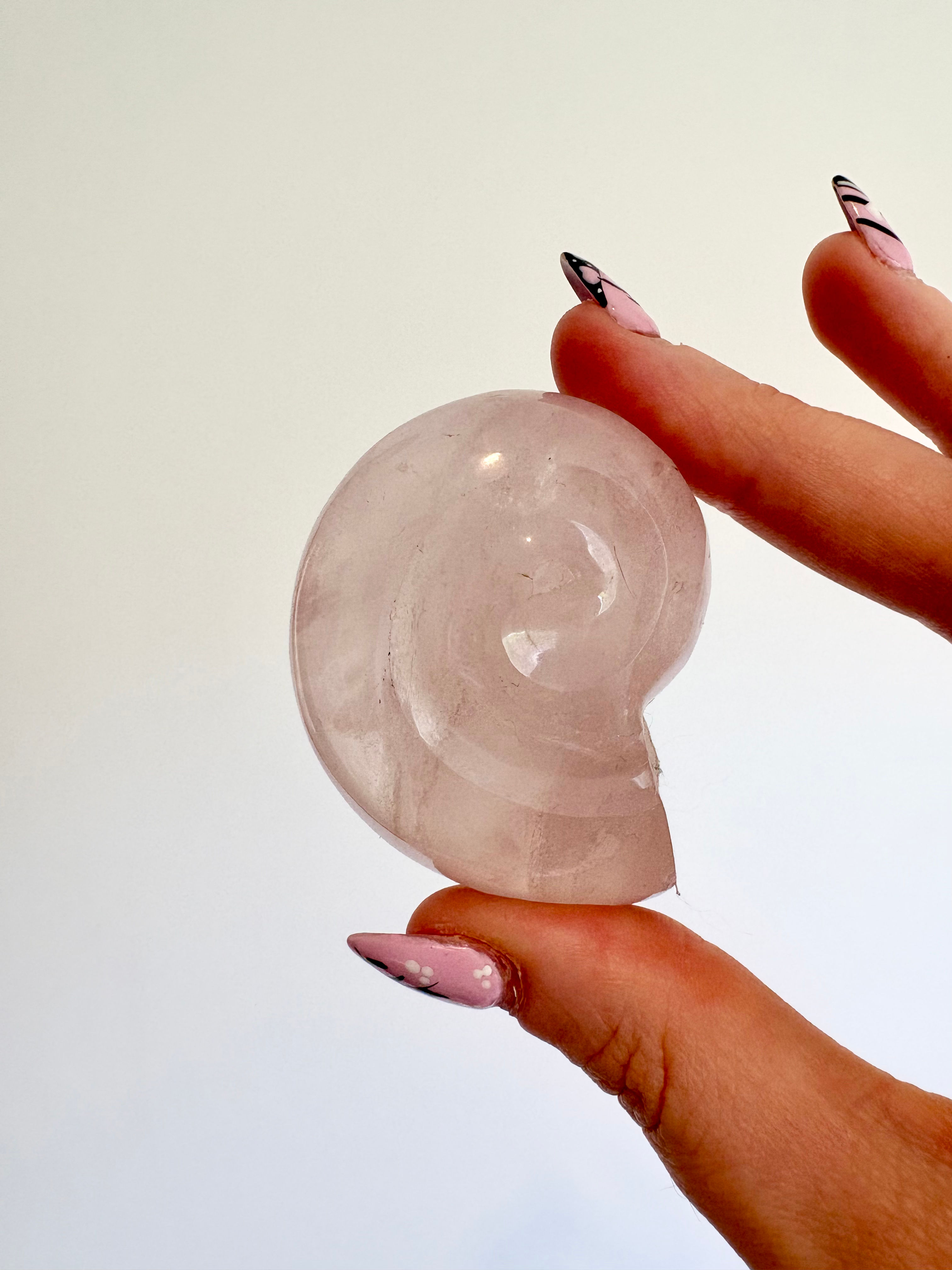 Rose Quartz Shell | 80g