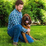 blood-hound-1718245_1920.jpg