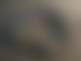 Escopo 3: da narrativa de risco à agenda de oportunidades