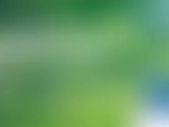 Hopewell Park Tree Planting - A Columbia Corps Event