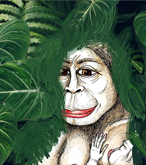 Ilustración_sin_título 17.png