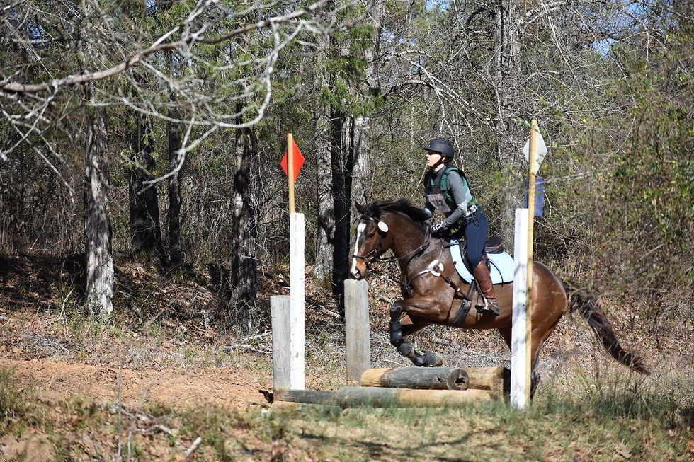 Conyers AYDC Dressage & CT Schooling Show