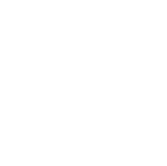 symbol10W.gif