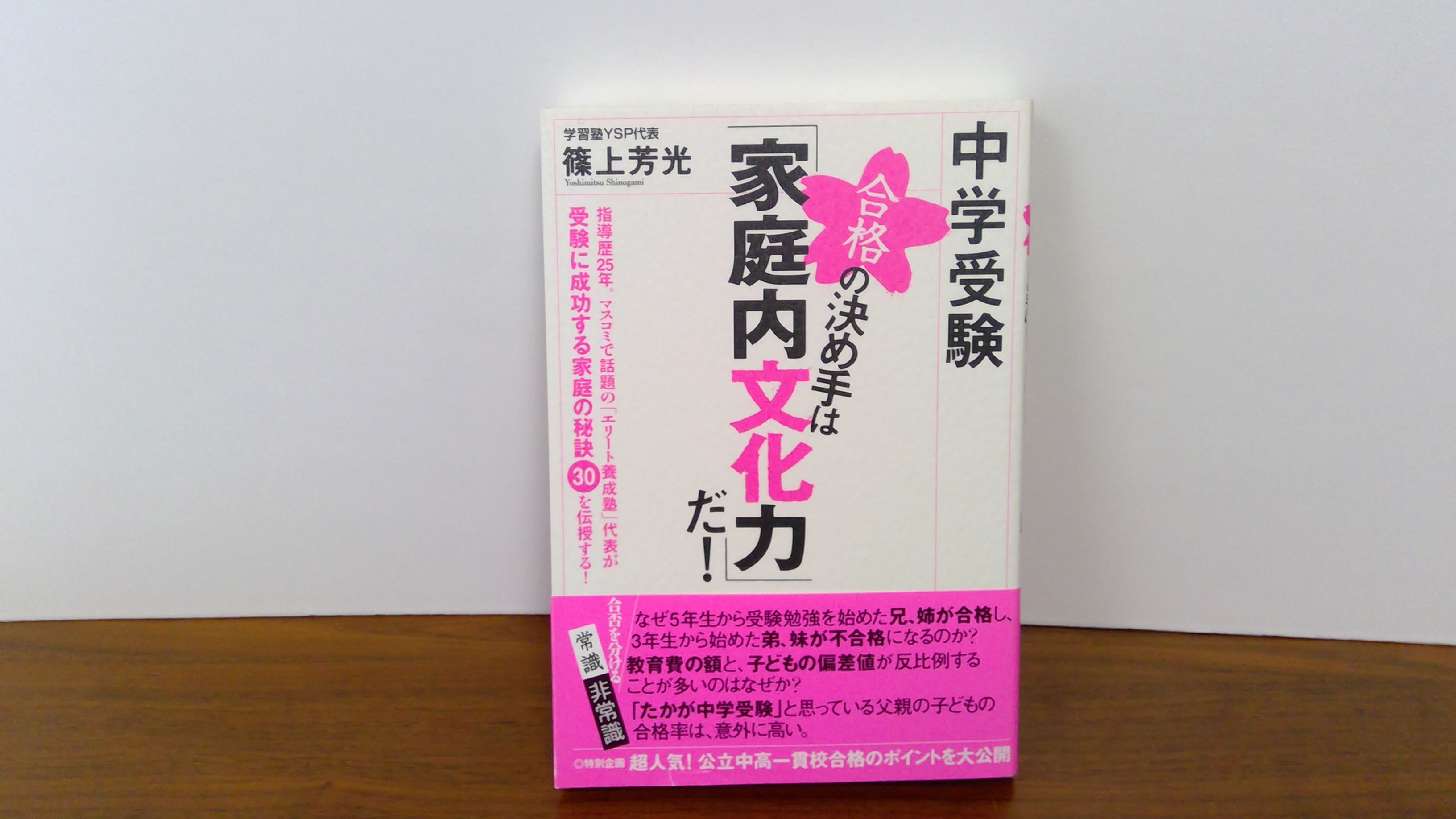 YSP「フリーコース個別授業」受講券10回分