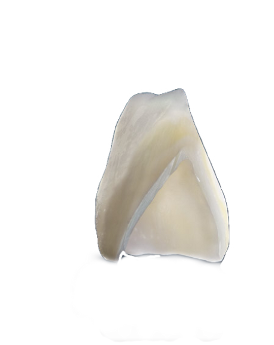 dentamasya (1)_edited.png