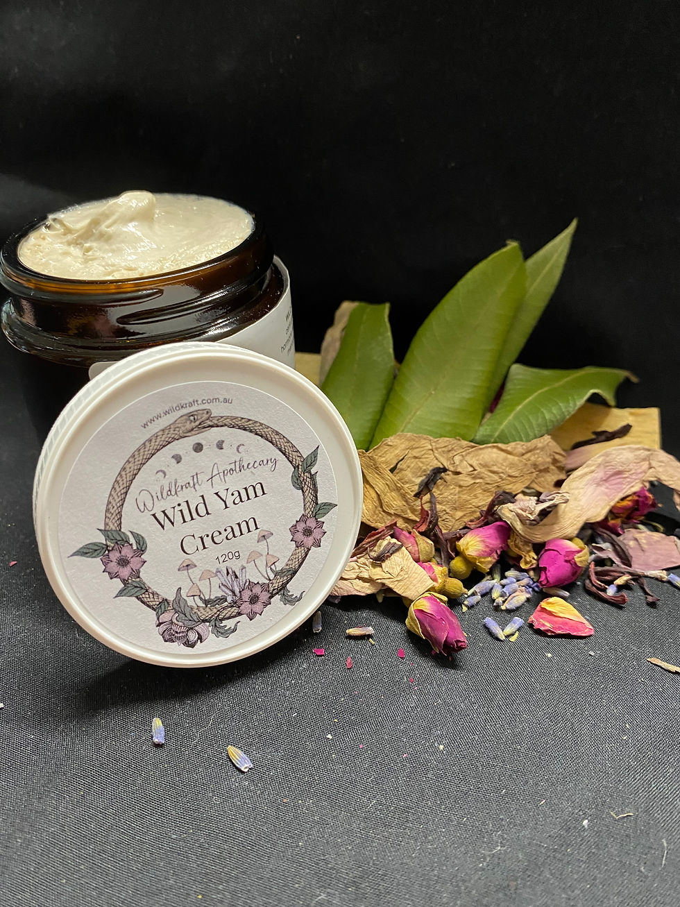 Wild Yam Cream Wildkraft Apothecary jar with lid off