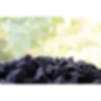 Shungite rocks for the garden