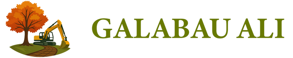 Galabau Ali (1).png