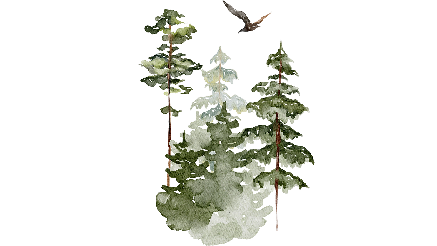 Untitled design (22)_edited.png