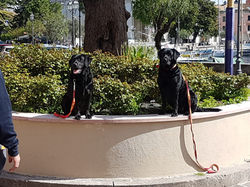 IMG-20180414-WA0017.jpg