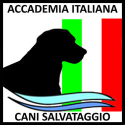 logoquadroSALVATAGGIO.jpg