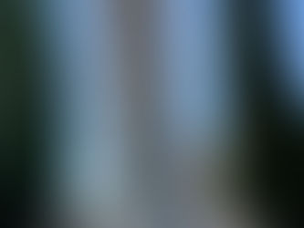 Leaning towards this