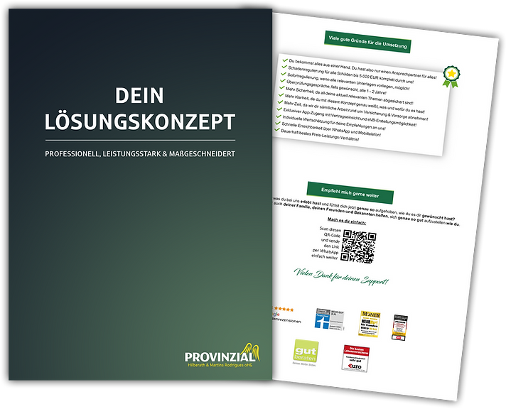 Lösungskonzept unserer Beratung