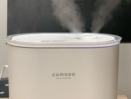 公開してみよう!