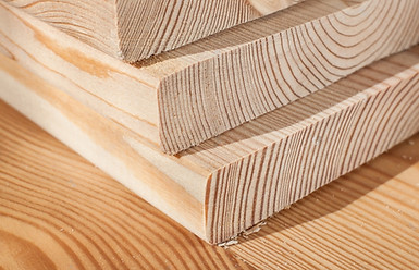 Douglas Fir.jpg