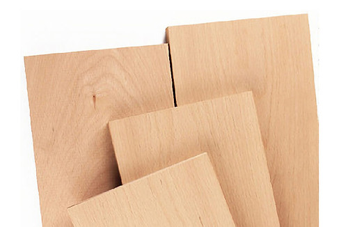 beech haya .jpg