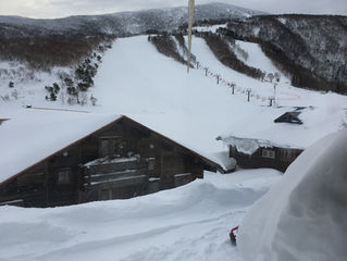 PALの気まぐれ通信