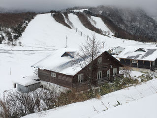 PALの気まぐれ通信