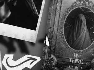 The Third Voice By M. Allydark Book Review