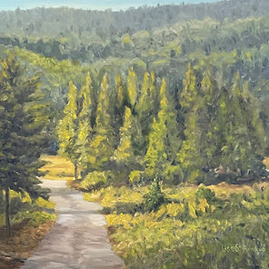 Lise St-Arnaud - Tous droits réservés