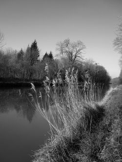 IMG_1986.JPG32