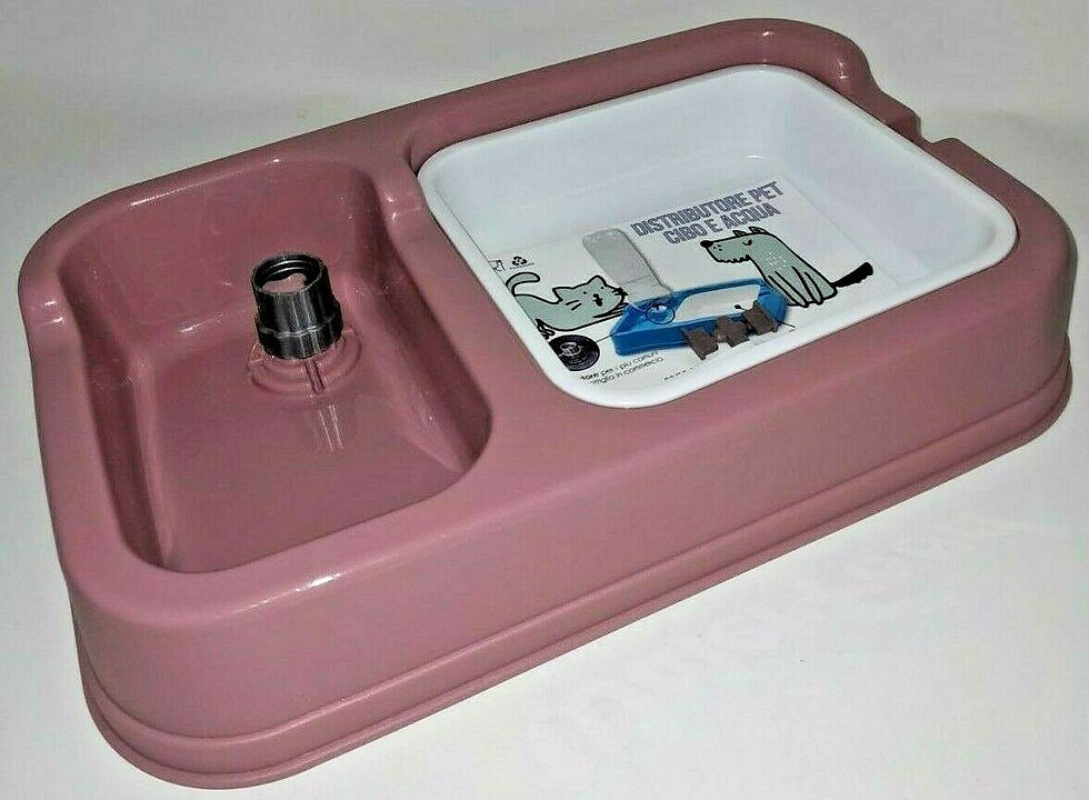 Distributore automatico con Ciotola Acqua e cibo per cane gatto con adattatore