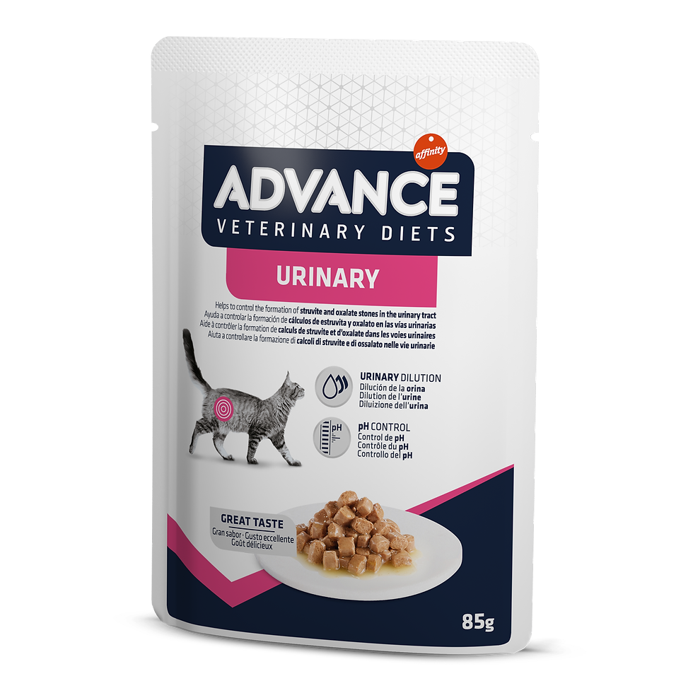 Advance Veterinary Diets Urinary Cibo Umido per Gatti