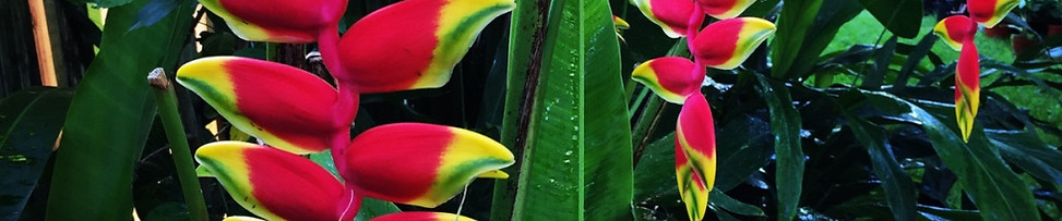 Landscape Desig, North Palm Beach