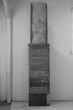 the cage