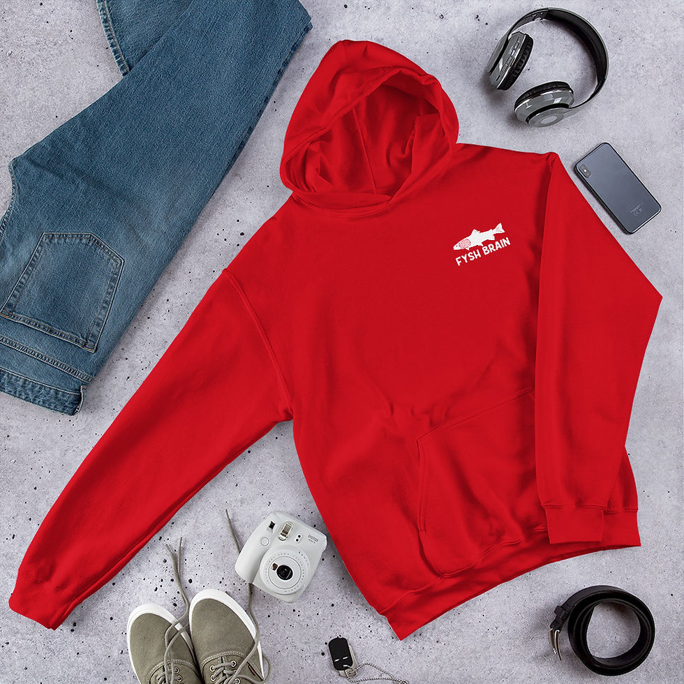 Thumbnail: Fysh Brain Unisex Pull Over Hoodie - Printed logo