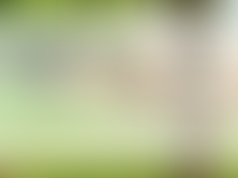 Tabernacle Bulletin: April 26, 2026