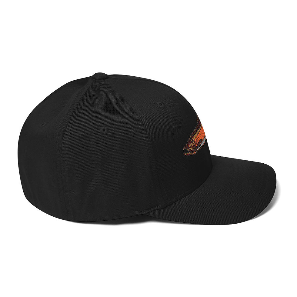 Thumbnail: Baseball Style Hat, Coho Embroidered Design