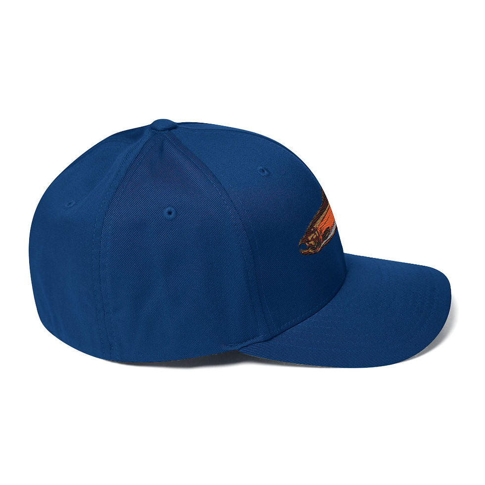 Thumbnail: Baseball Style Hat, Coho Embroidered Design