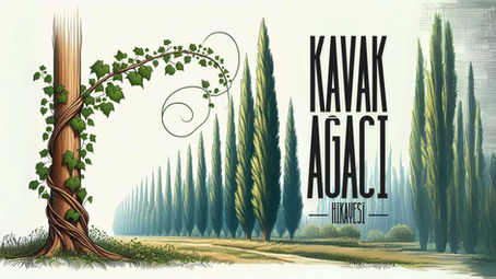 Kavak Ağacı