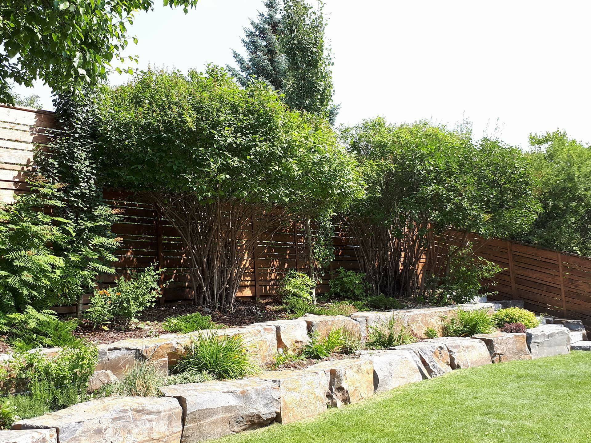 Tree-rific Tree Service- Calgary, AB